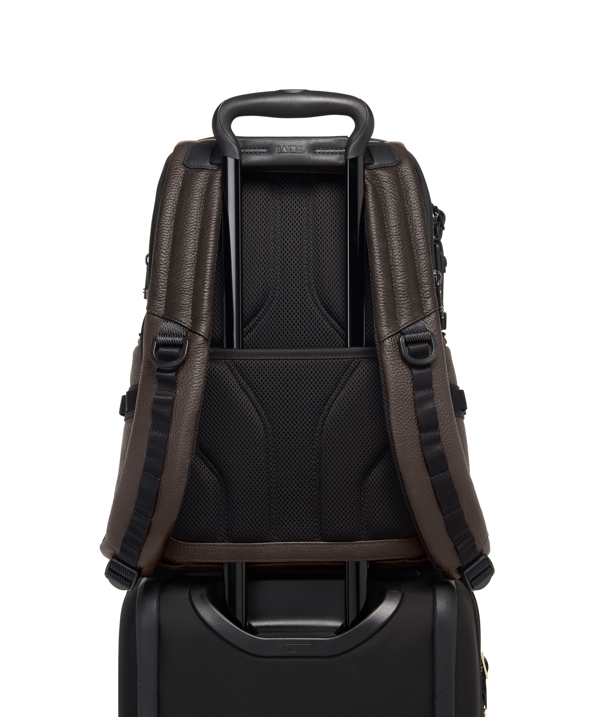 Tumi alpha hotsell bravo leather backpack